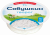 Творог Савушкин Хуторок шайба 1% 300 г